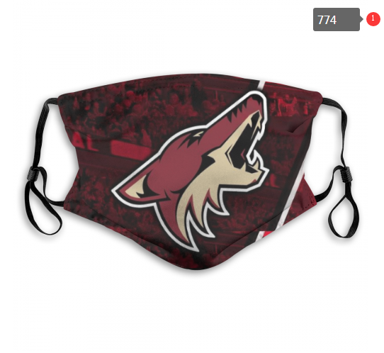NHL Arizona Coyotes #1 Dust mask with filter